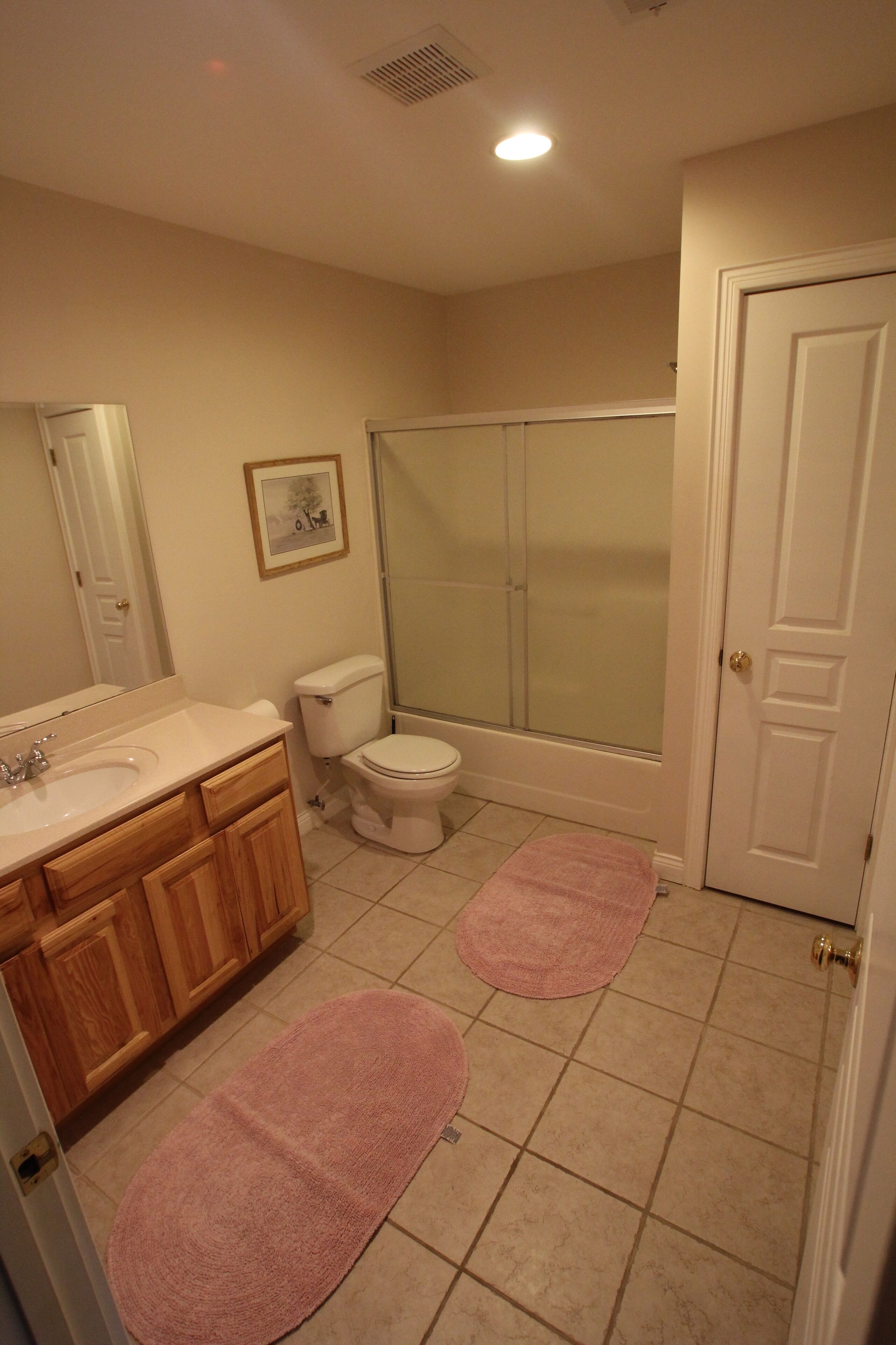 A bathroom with a sink, toilet, and shower. There are two pink bath mats on the floor.