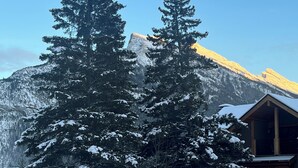 A cabin with a wooden exterior, surrounded by snow-covered trees and a mountain backdrop.