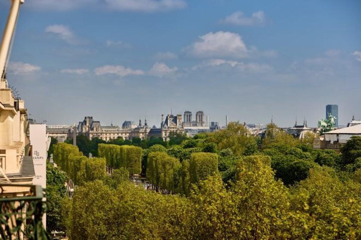 A cityscape with a prominent cathedral, lush green trees, and a clear sky.