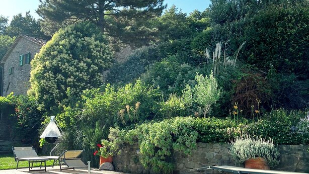 A swimming pool with lounge chairs, surrounded by lush greenery and a stone wall. - Casa Emma, Near Cortona, Private Pool. BBQ, Stunning views, BBand,Relax, enjoy! (Cortona)