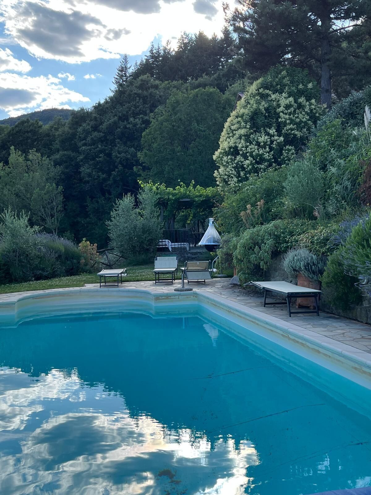 Una piscina amb gandules i una pèrgola, envoltada de vegetació abundant i arbres.