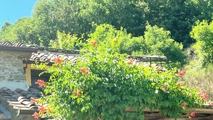 A stone building with a covered porch, green shutters, and a table with chairs. - Casa Emma, Near Cortona, Private Pool. BBQ, Stunning views, BBand,Relax, enjoy! (Cortona)