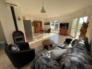 TV, fireplace, books