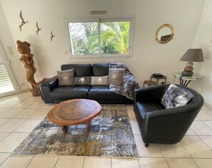 TV, fireplace, books