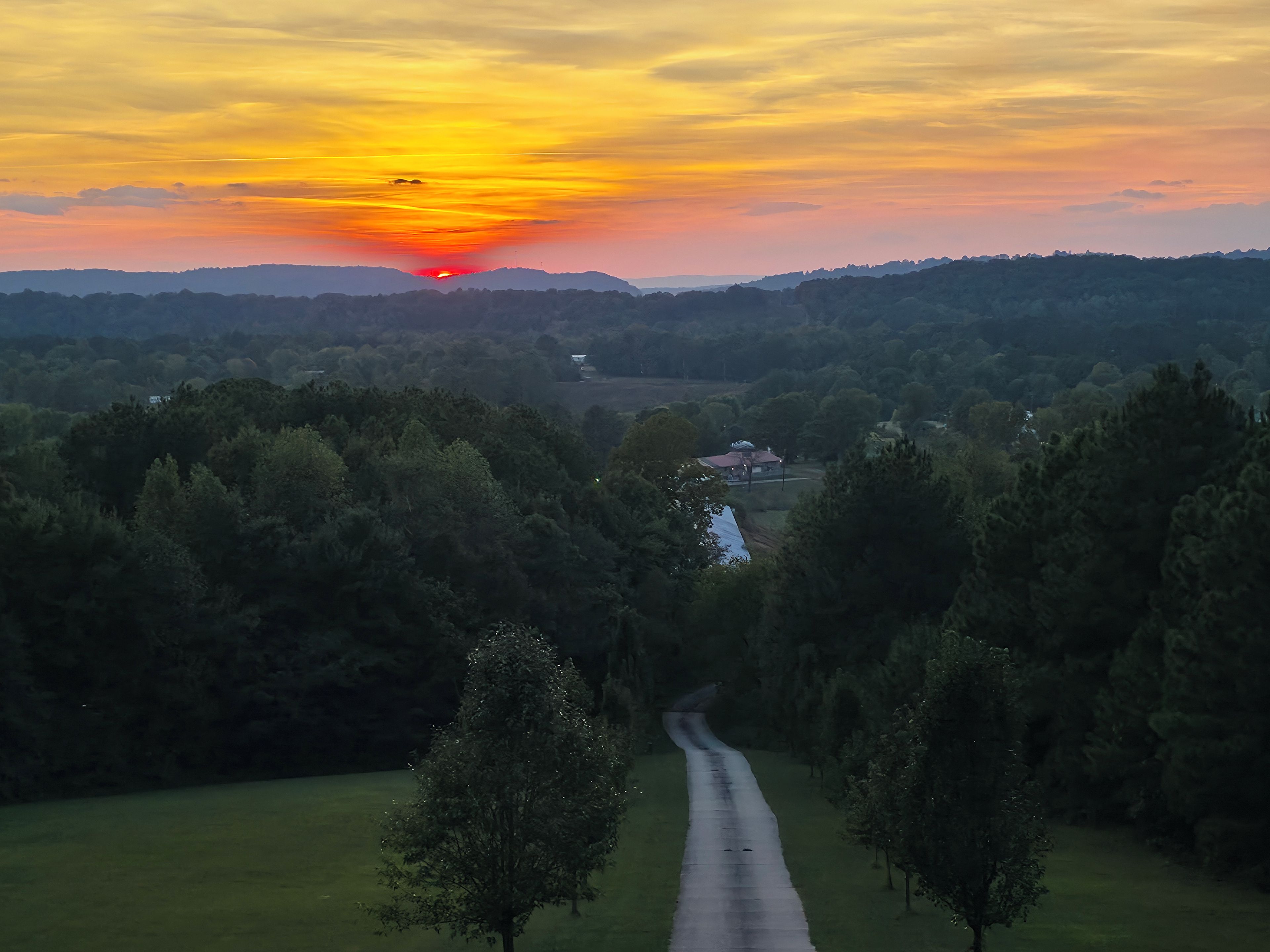 A rural landscape with a road leading through a forested area towards a small house.