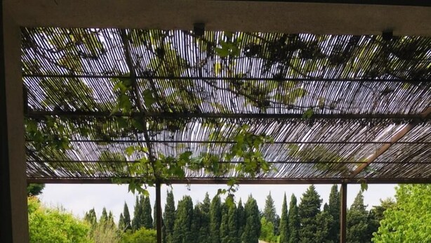 A covered outdoor patio with a pool, surrounded by greenery and trees. - 5 bedrooms and suites with 5 bathrooms Charming mas in Maussane les alpilles calm and privacy (Maussane-les-Alpilles)
