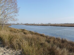 Plage à proximité