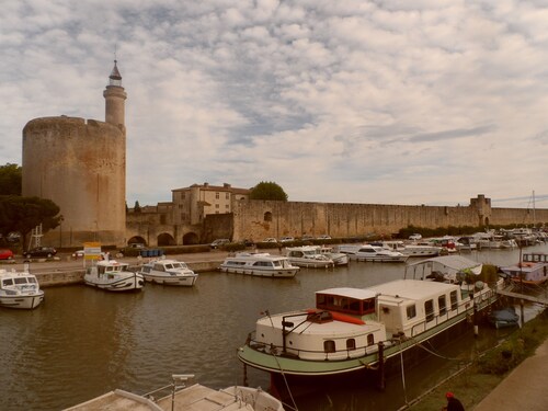 Mas agriculture in Petite Camargue quiet Proximity Sea, 5 per