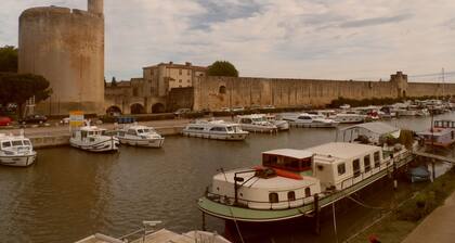 Mas agriculture in Petite Camargue quiet Proximity Sea, 5 per