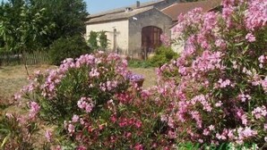 A rustic building with a stone facade, surrounded by lush greenery and flowering plants.