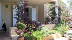 Un espacio al aire libre cubierto, con plantas en macetas y una silla.