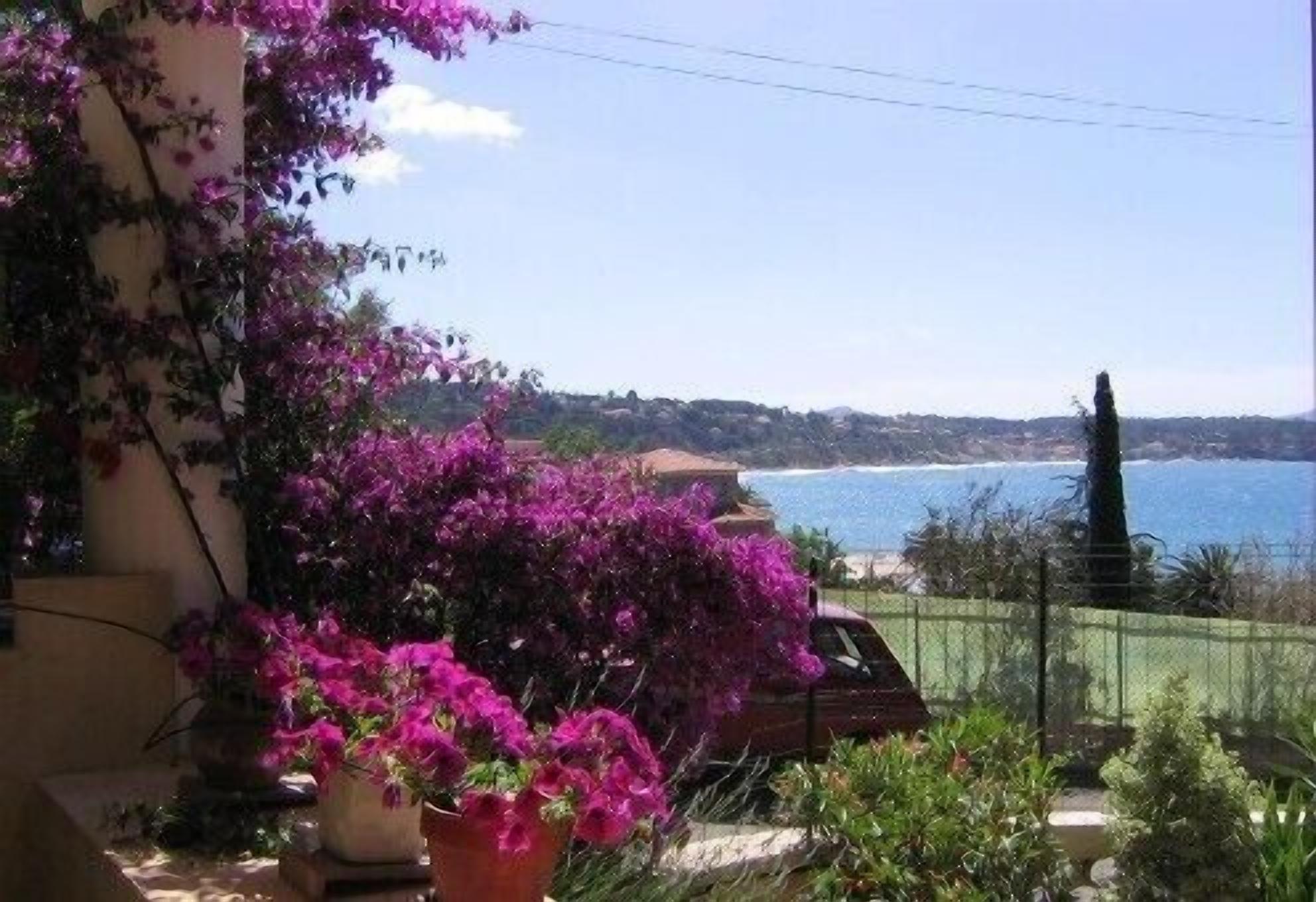 Une vue sur la côte, avec une voiture garée au premier plan, un bâtiment orné de fleurs violettes et un ciel dégagé.