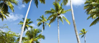 Luxury Beach Villa 1207 @ Sublime Samana