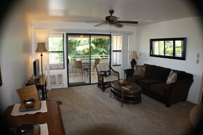 Télévision, lecteur de DVD, chaîne hi-fi