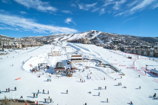 Lumi- ja hiihtourheilulajit