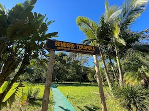 Hiking - Tupa Lodge selva y río (Puerto Iguazú)