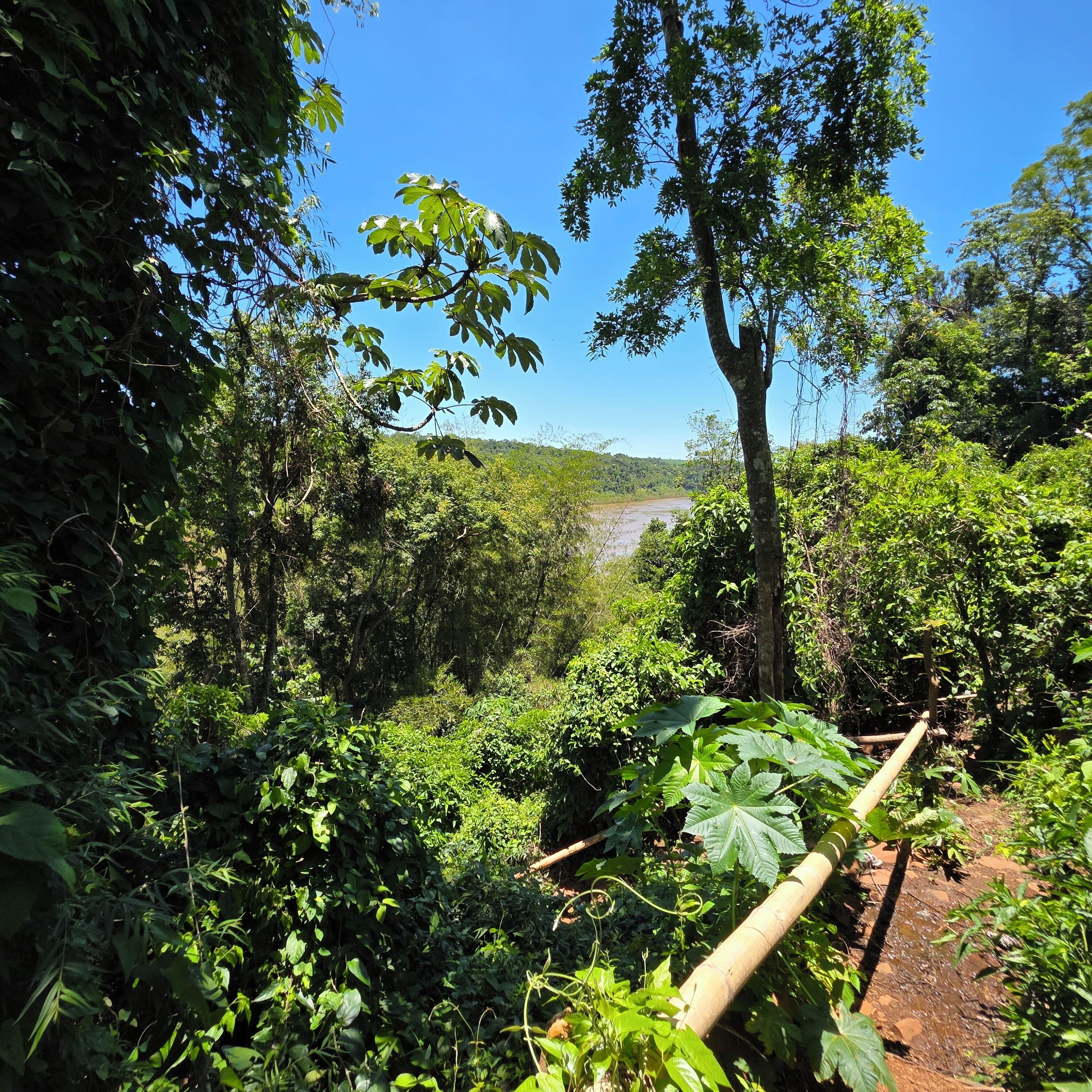 Photo - Tupa Lodge selva y río