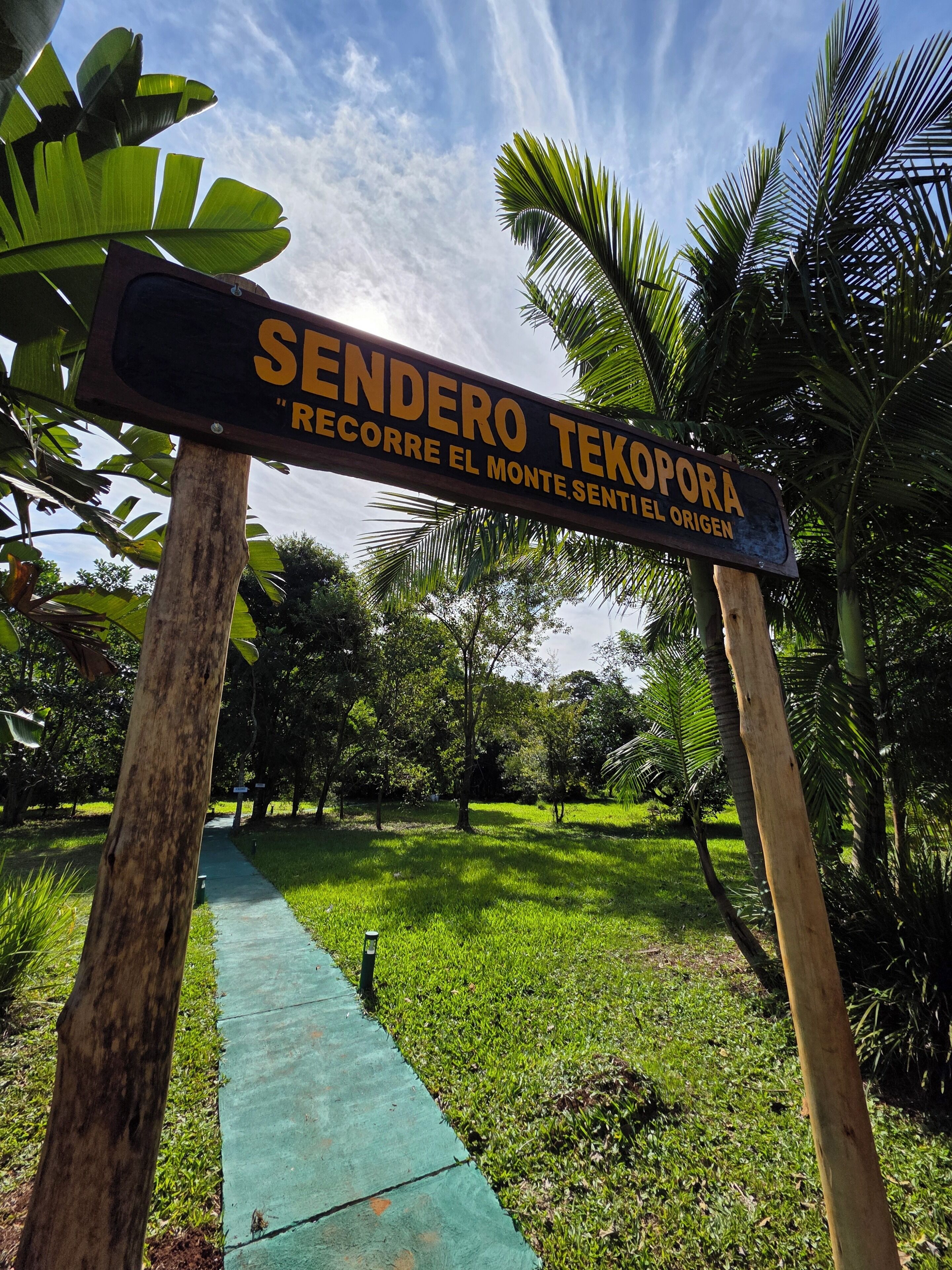 Photo - Tupa Lodge selva y río