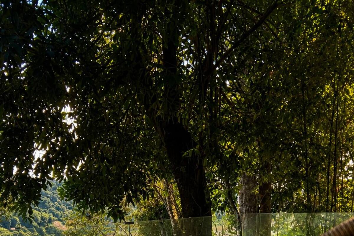 Quarto superior, para não fumantes | Edredons de pluma, camas com colchões de espuma com sistema de memória