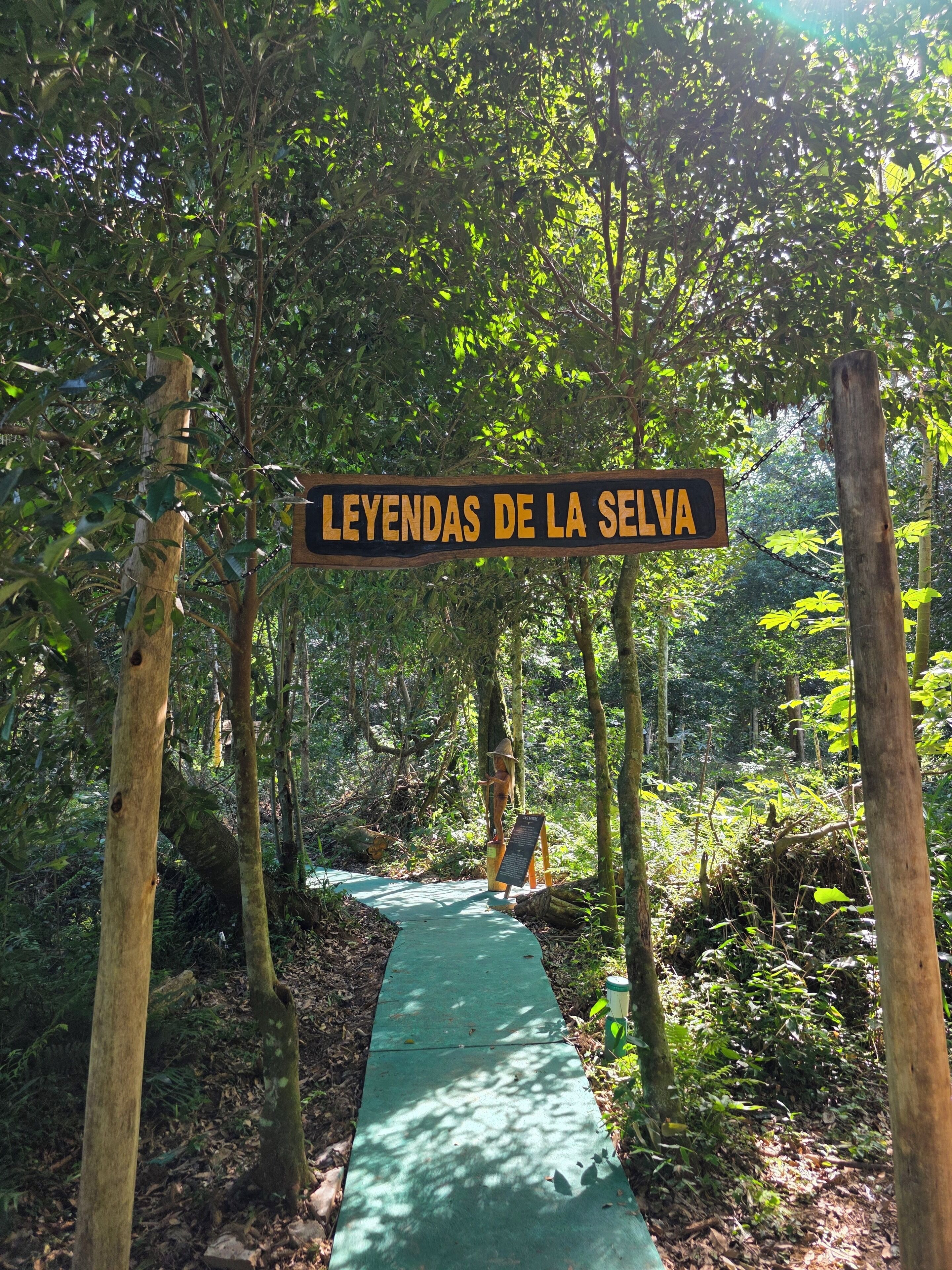 Photo - Tupa Lodge selva y río
