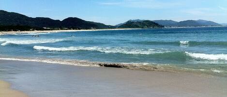 بالقرب من الشاطئ