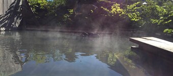 niseko KASHINOYA - Hostel