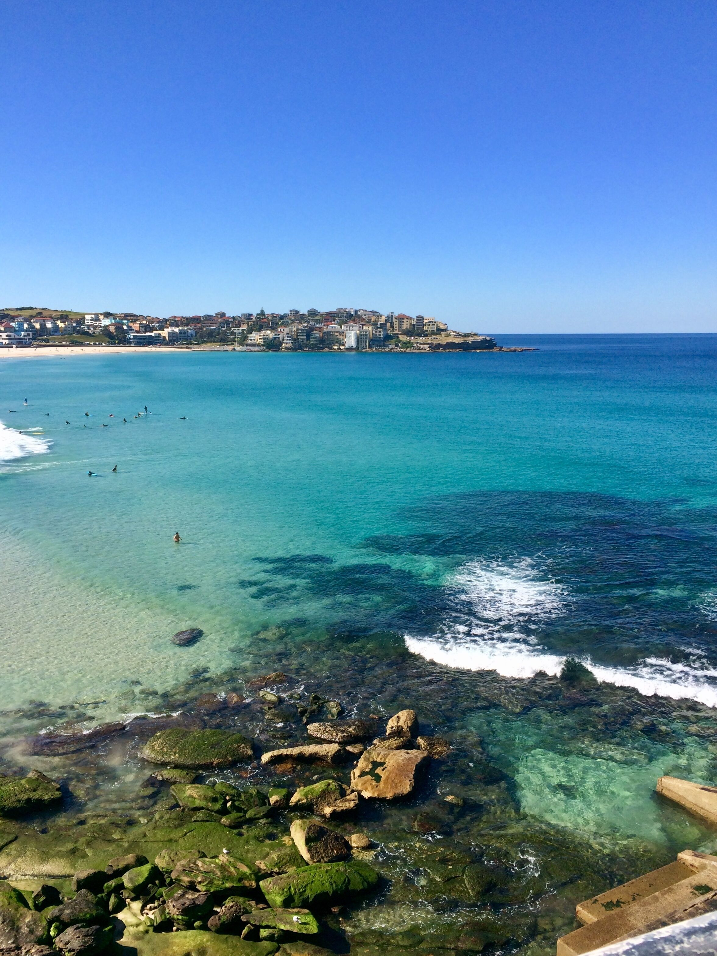 Stunning Renovated One Bedroom Apartment 5 minute walk to Bondi Beach & Village — image 18