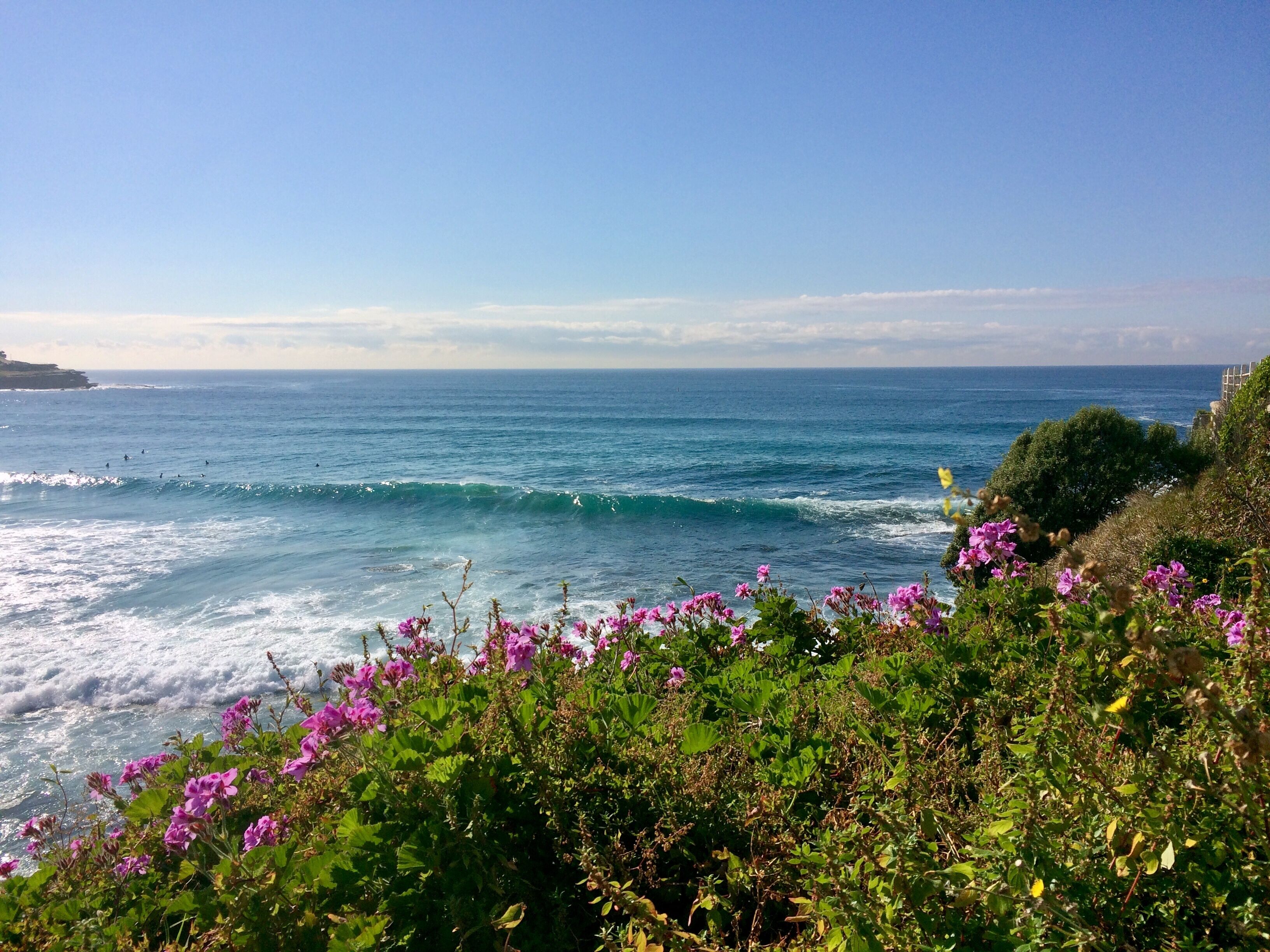 Stunning Renovated One Bedroom Apartment 5 minute walk to Bondi Beach & Village — image 16