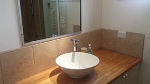 Shower, hair dryer, soap, toilet paper