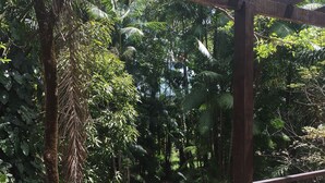 Una estructura de pérgola de madera con barandilla metálica, rodeada de abundante vegetación y árboles.