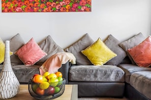 Smart TV, Netflix, DVD player, books