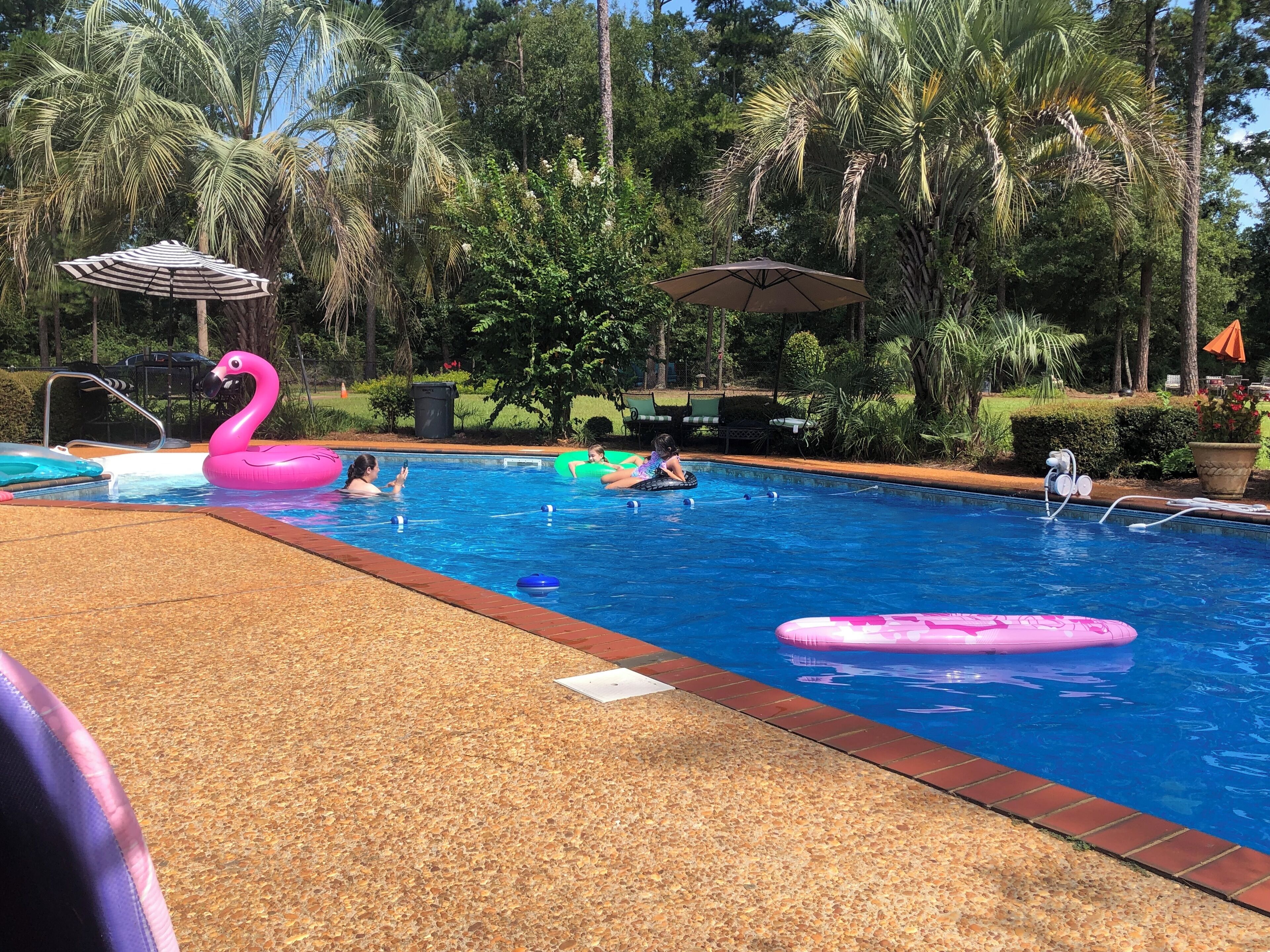 A swimming pool with inflatable toys, surrounded by palm trees and a covered seating area.