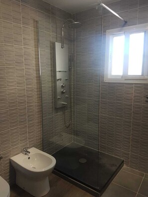 Douche, séchoir à cheveux, bidet, serviettes fournies