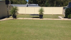 A backyard with a trampoline, two potted plants, and a metal fence.