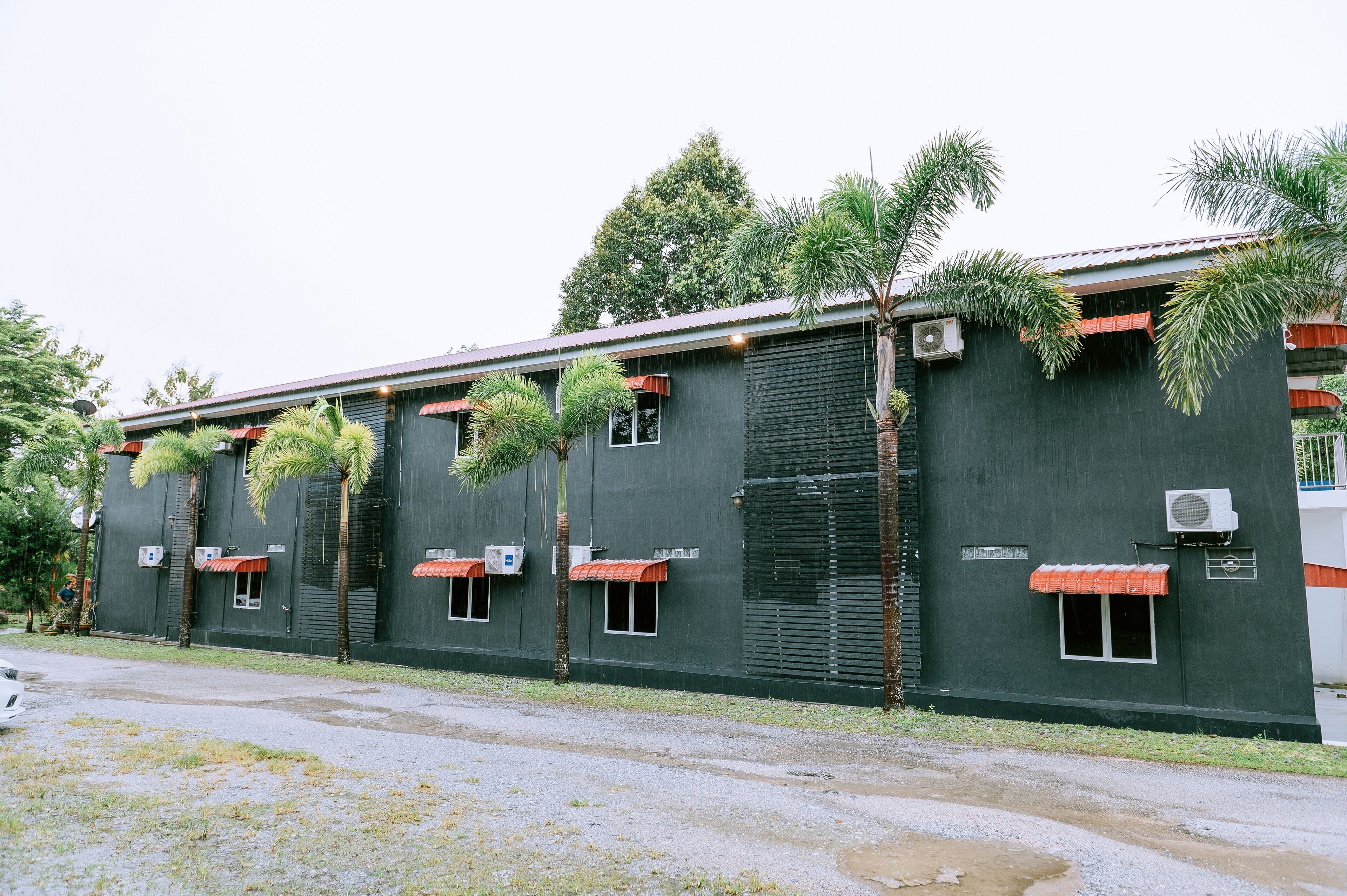 A building with multiple air conditioning units, windows with awnings, and a variety of vegetation including palm trees.