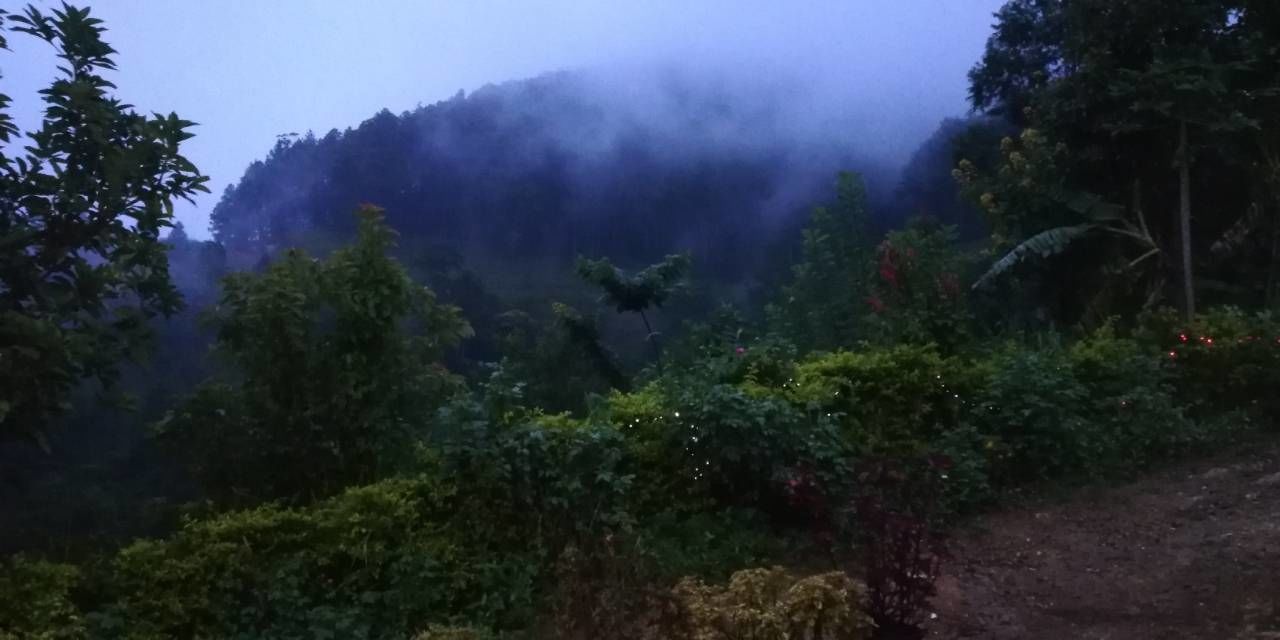 外觀