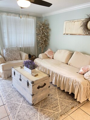 TV connectée, lecteur de DVD, livres, vidéothèque