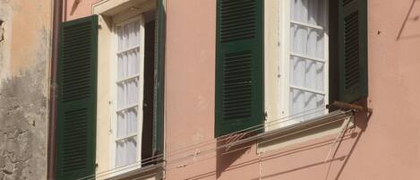 A building facade with two windows, each with green shutters and white frames.