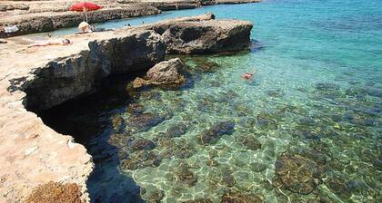 Trullo Abate in the countryside of Ostuni