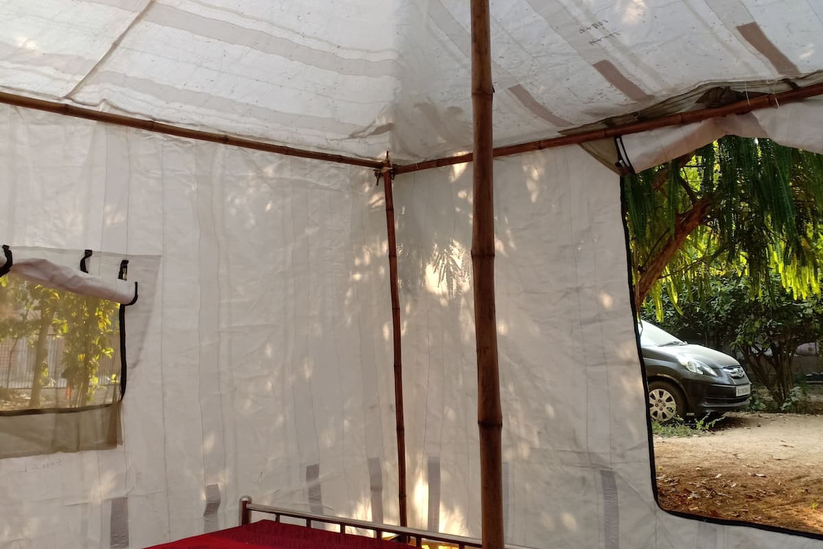 Interior de una tienda de campaña con una cama, una ventana con mosquitera y vistas a follaje exterior.