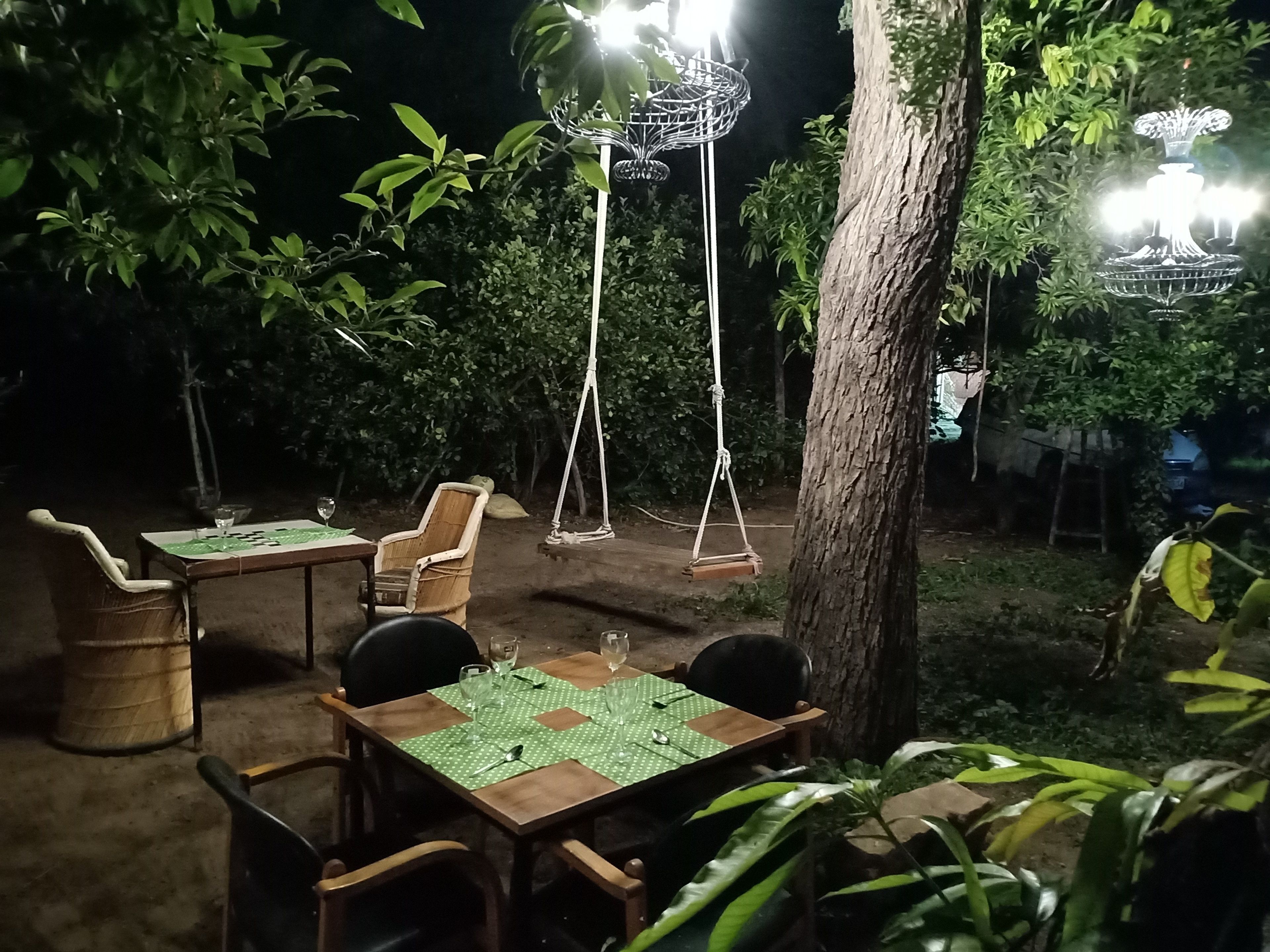 An outdoor dining area with tables and chairs, surrounded by trees and a hanging light fixture.