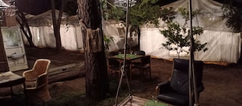 Nature Trail Camps & Homestay
