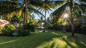 A tropical garden with palm trees and a thatched-roof structure.