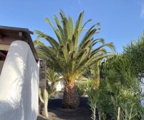 Property grounds - WALK TO BEACHES, SEA VIEWS FROM OUR VILLA ISA (Playa Blanca)