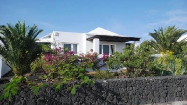 A modern house with a stone wall and tropical plants.