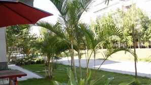 Un patio con mesa y sillas de madera, rodeado de plantas verdes y palmeras.