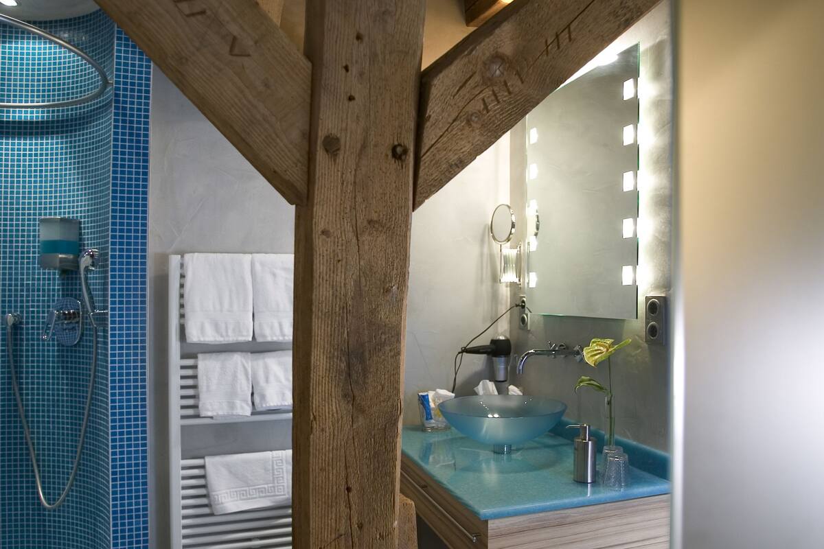 standard double room, courtyard view | bathroom amenities | shower, free toiletries, hair dryer, towels