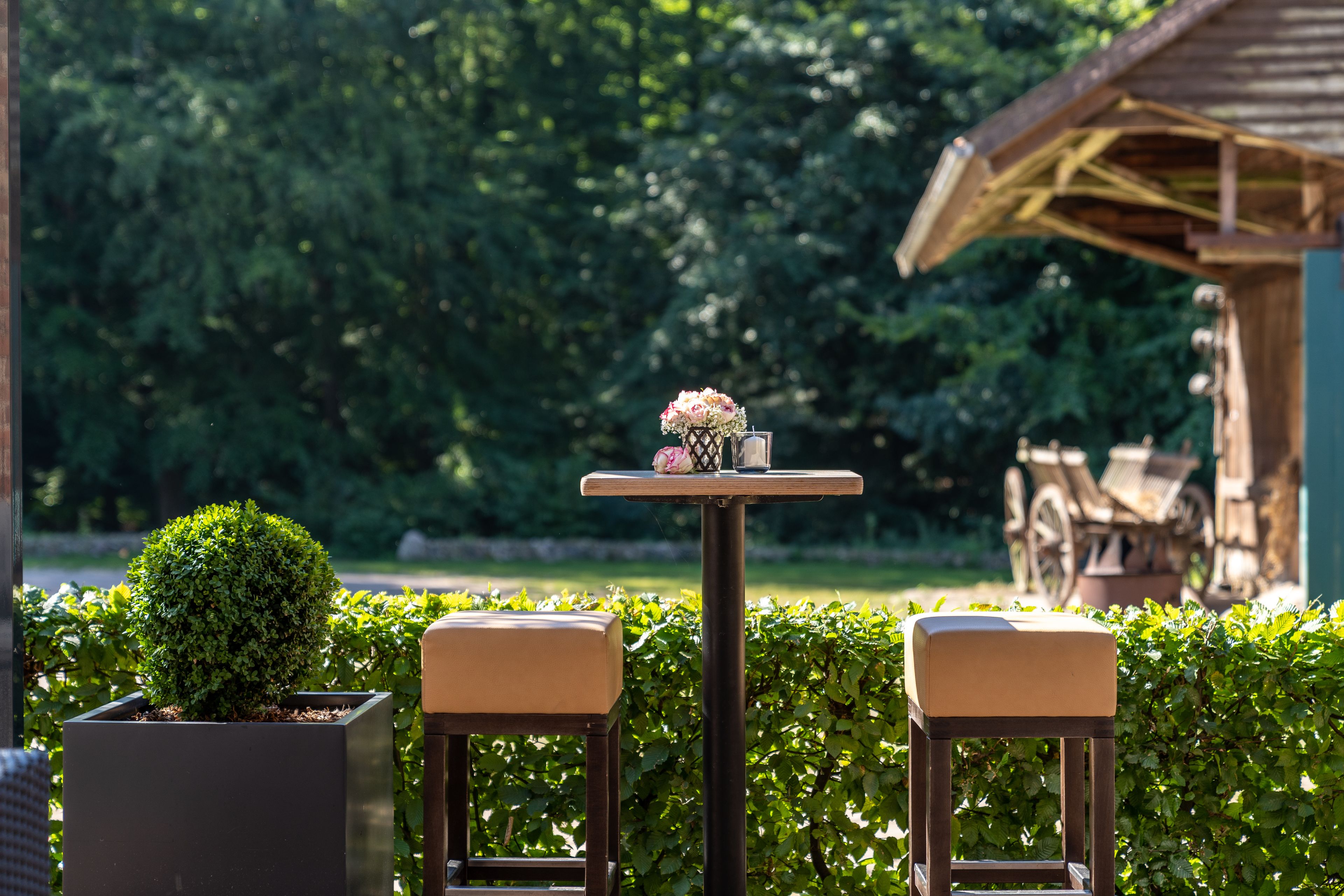 outdoor wedding area