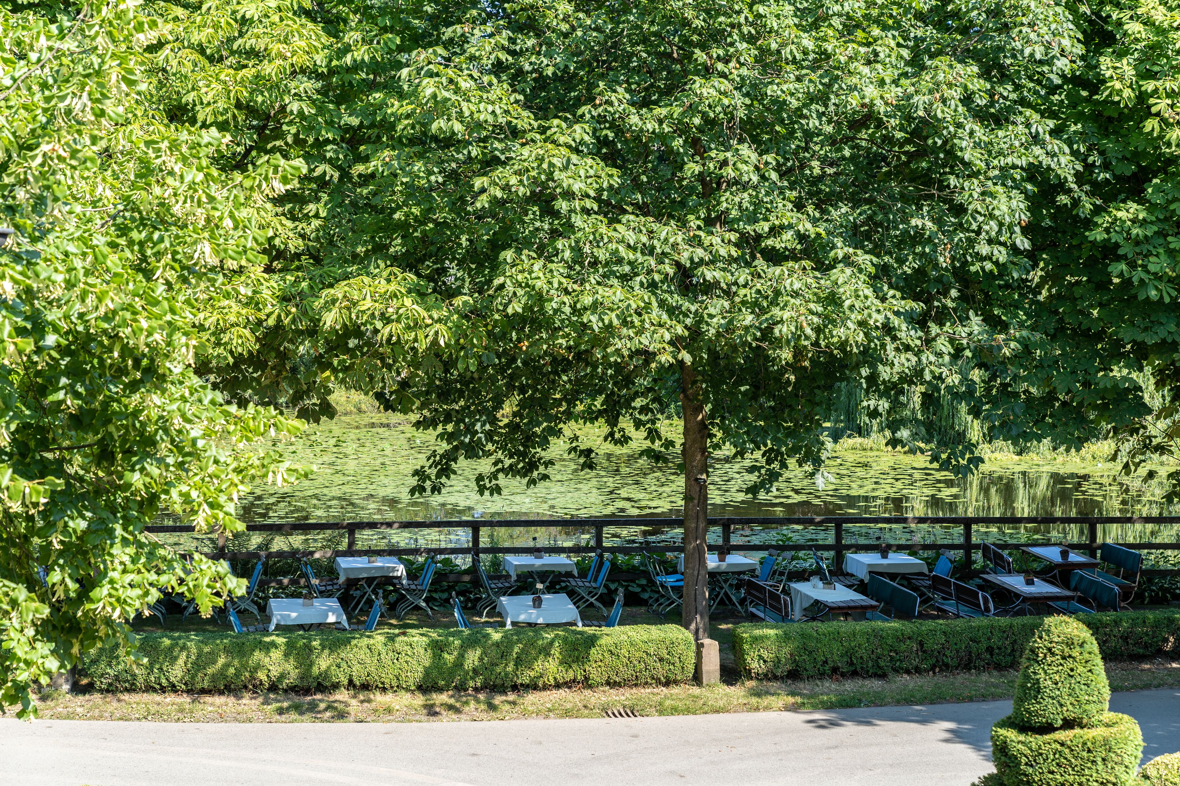 outdoor wedding area