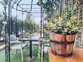 A potted plant in a wooden bucket on a table, a chair, and a small table with chairs under a metal structure.